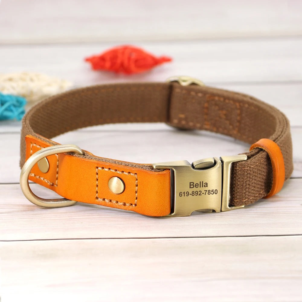 Custom ID Dog Collar