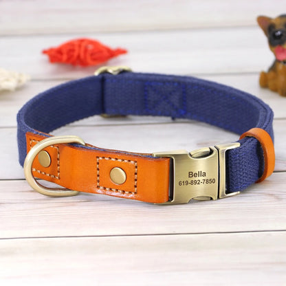 Custom ID Dog Collar