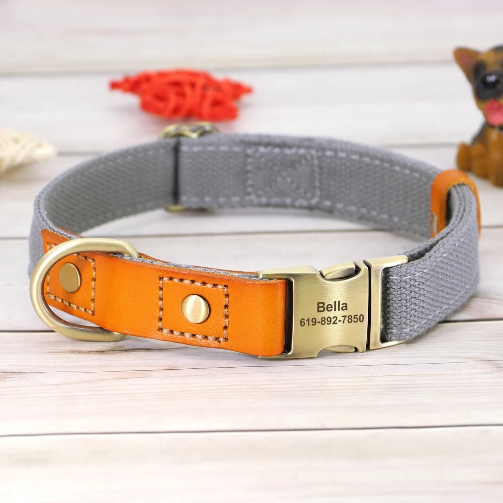 Custom ID Dog Collar