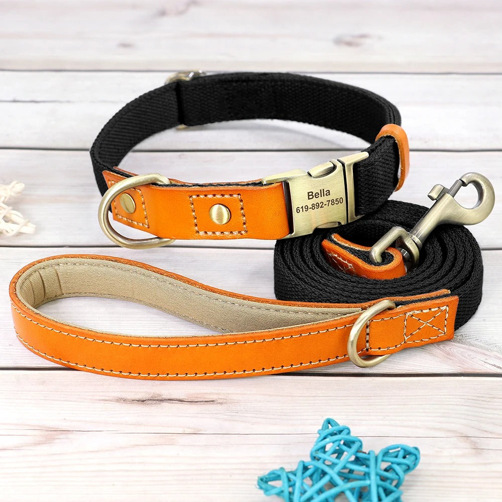 Custom ID Dog Collar and Leash