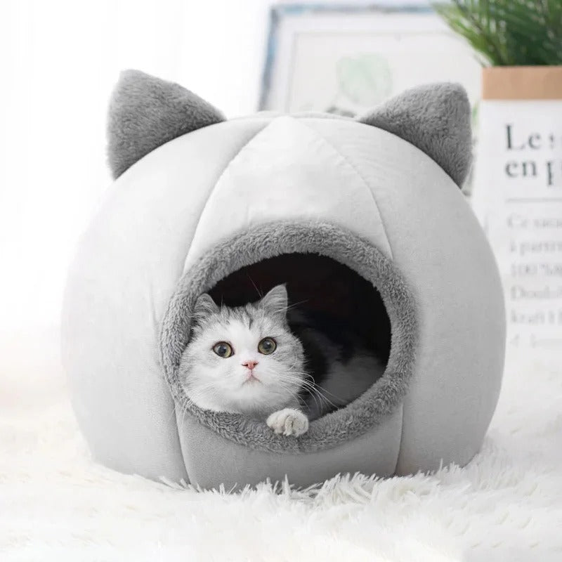 Luxury Cat Cave