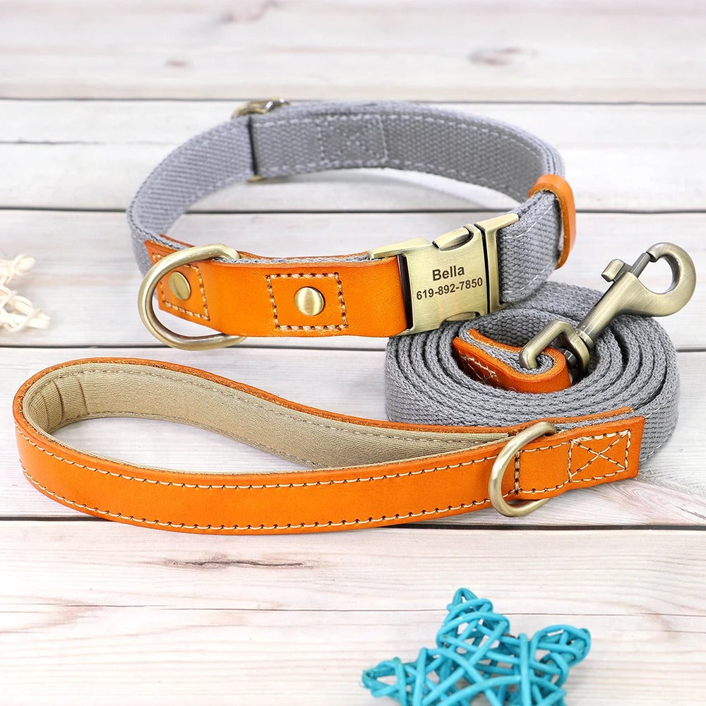 Custom ID Dog Collar and Leash