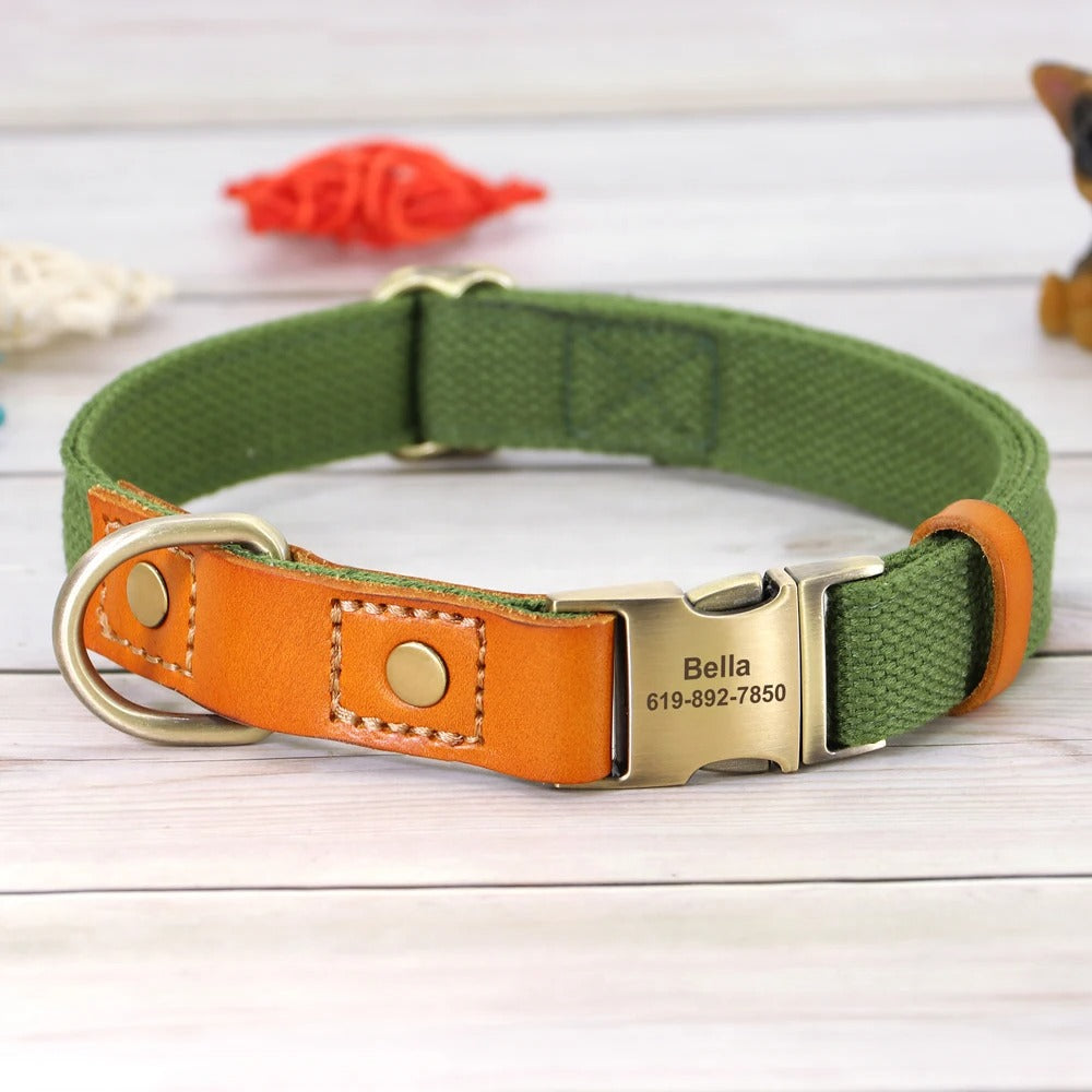 Custom ID Dog Collar