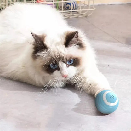 Inactive Cat Ball Toy