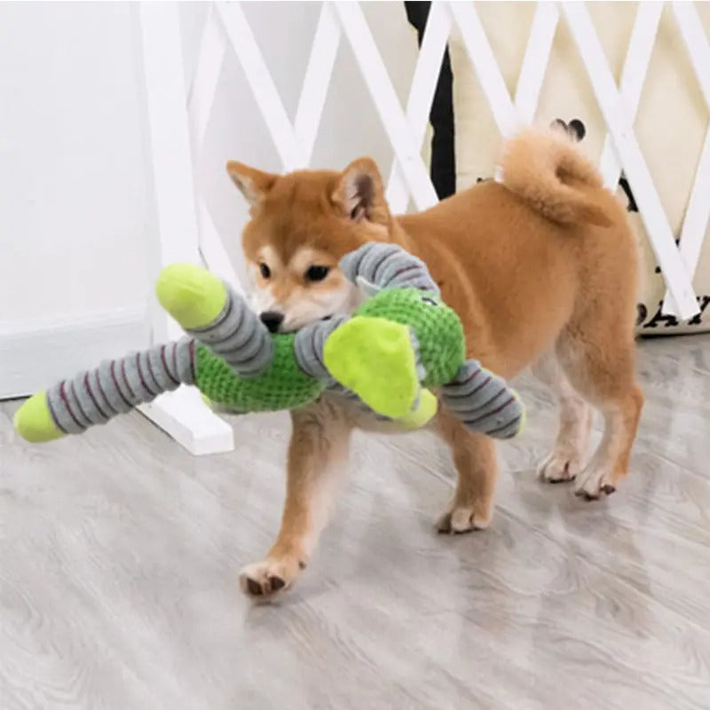 Durable Large Squeaky Toy