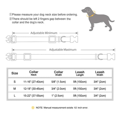 Custom ID Dog Collar and Leash