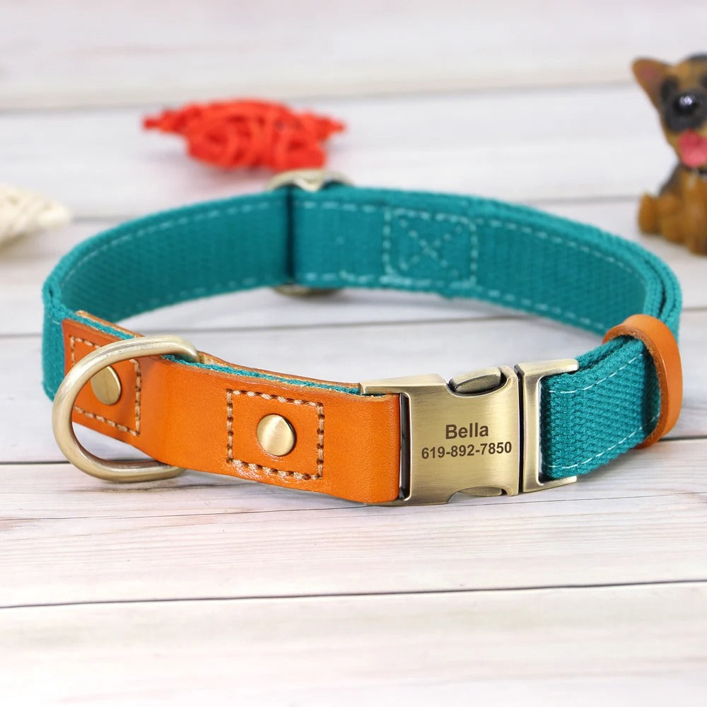 Custom ID Dog Collar