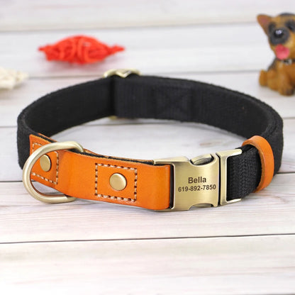 Custom ID Dog Collar